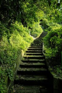 Onward and Upward: Embracing the Momentum of Moving Forward!